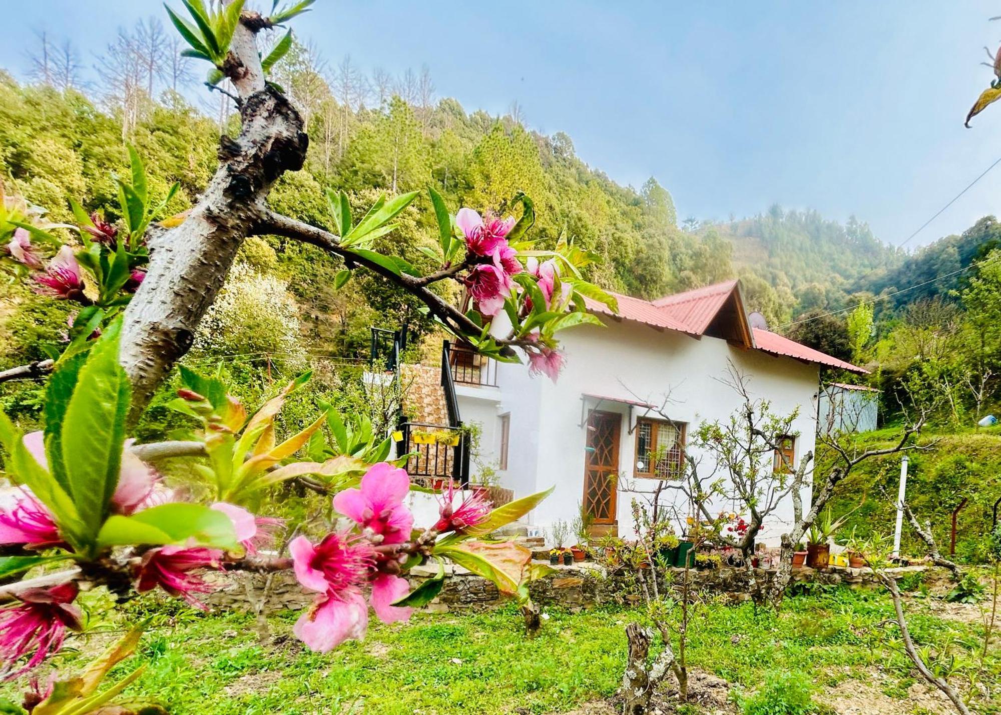 Love'S Farm, Cottage In Ramgarh Exteriör bild